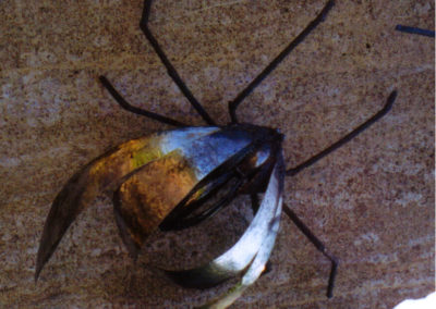 bird_steel