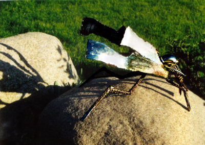 iron_insect_on_the_rock