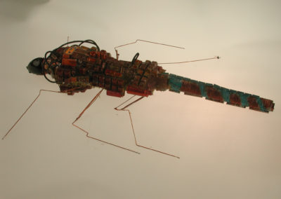 ważka
